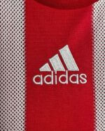 חולצת בית באיירן מינכן עונת 2010/2011