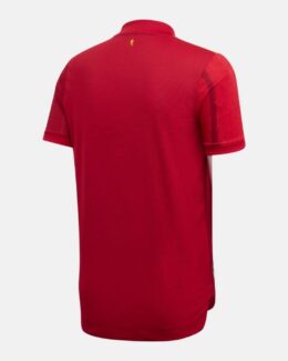 חולצות בית ספרד יורו 2020