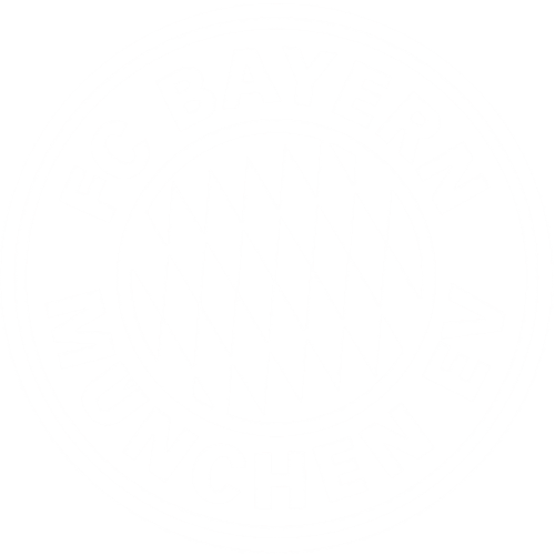 באיירן מינכן