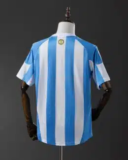 חולצת בית ארגנטינה מונדיאל 2010